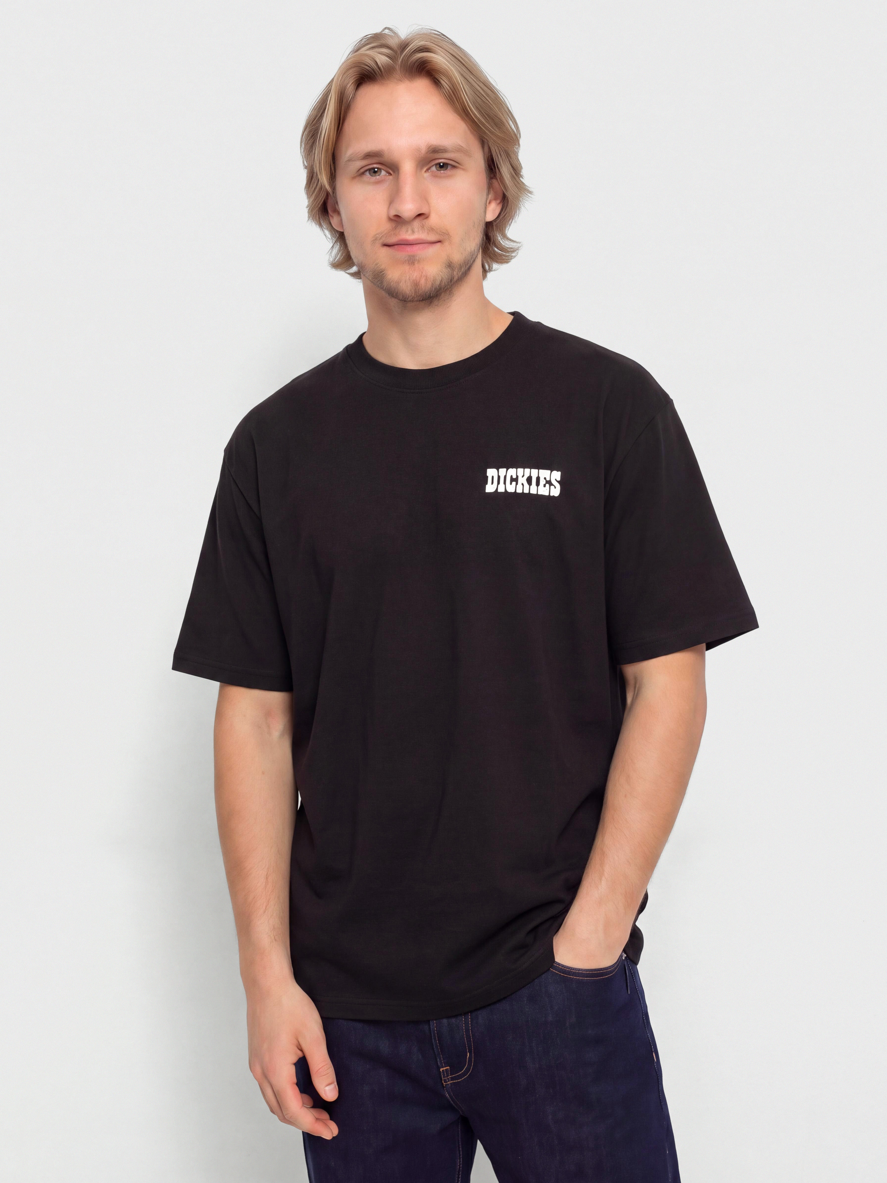 Dickies Plain City Póló (black)
