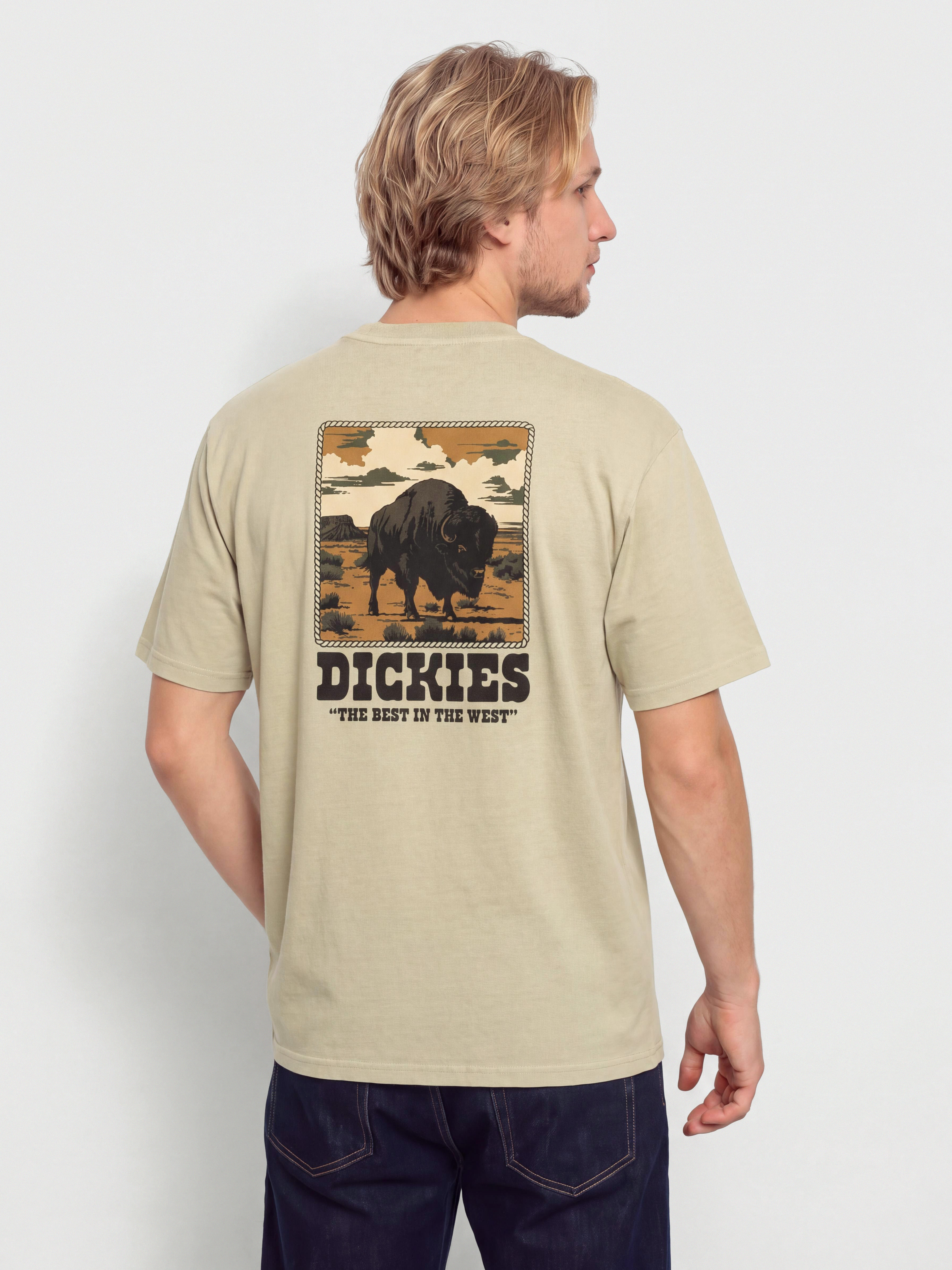 Dickies Darrtown Póló (eucalyptus)