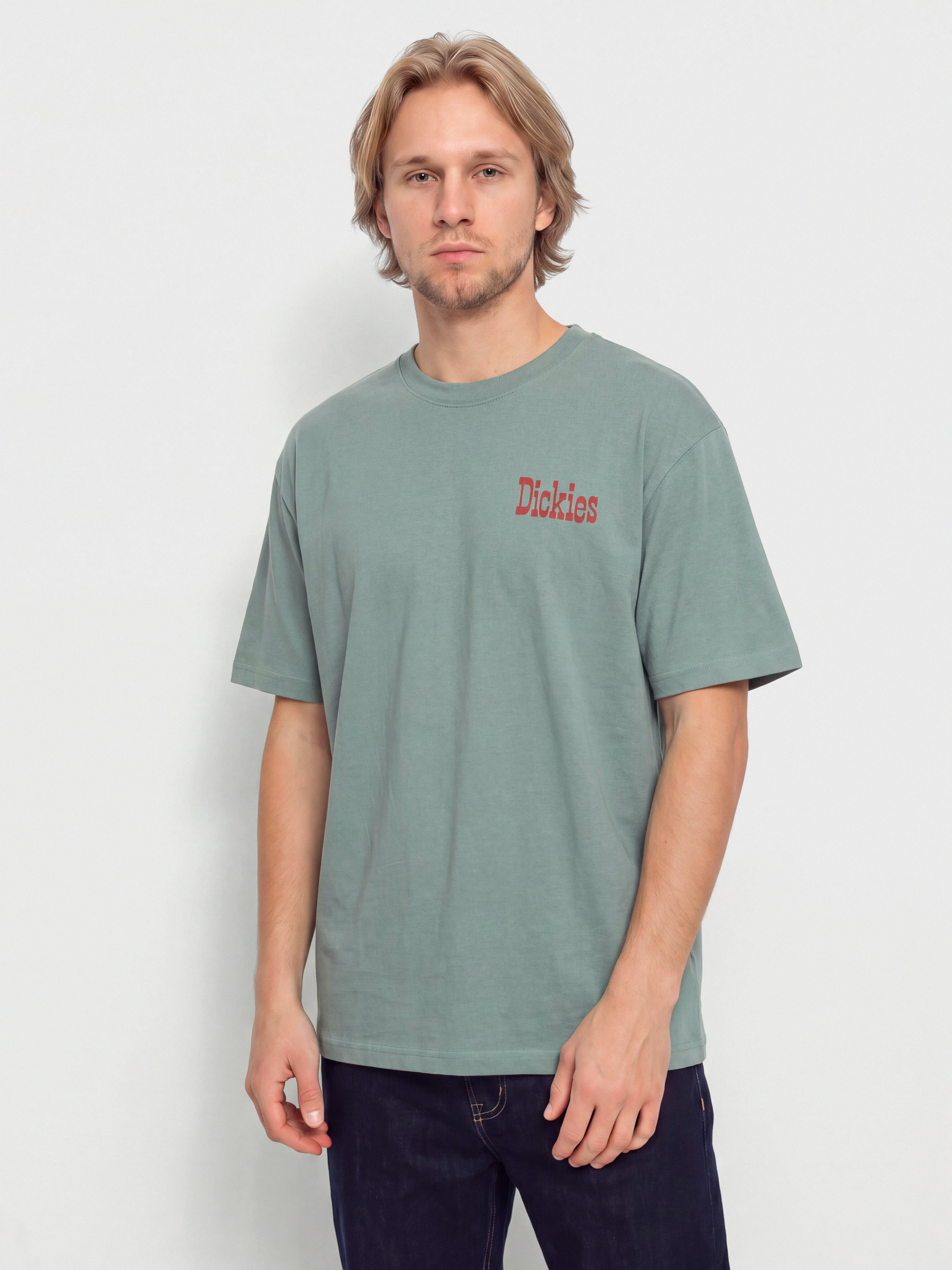 Dickies Polk Póló