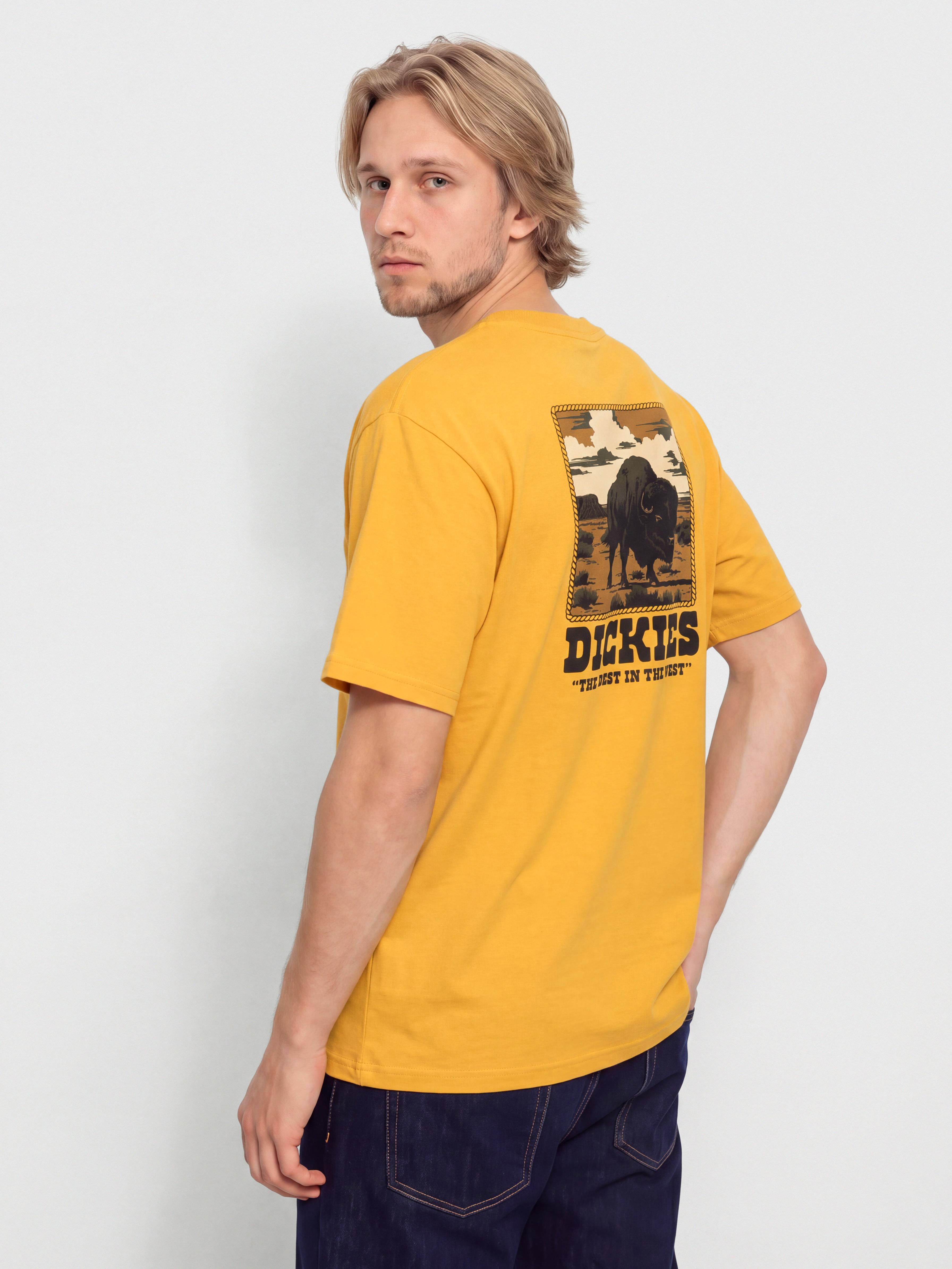 Dickies Darrtown Póló (sunflower)