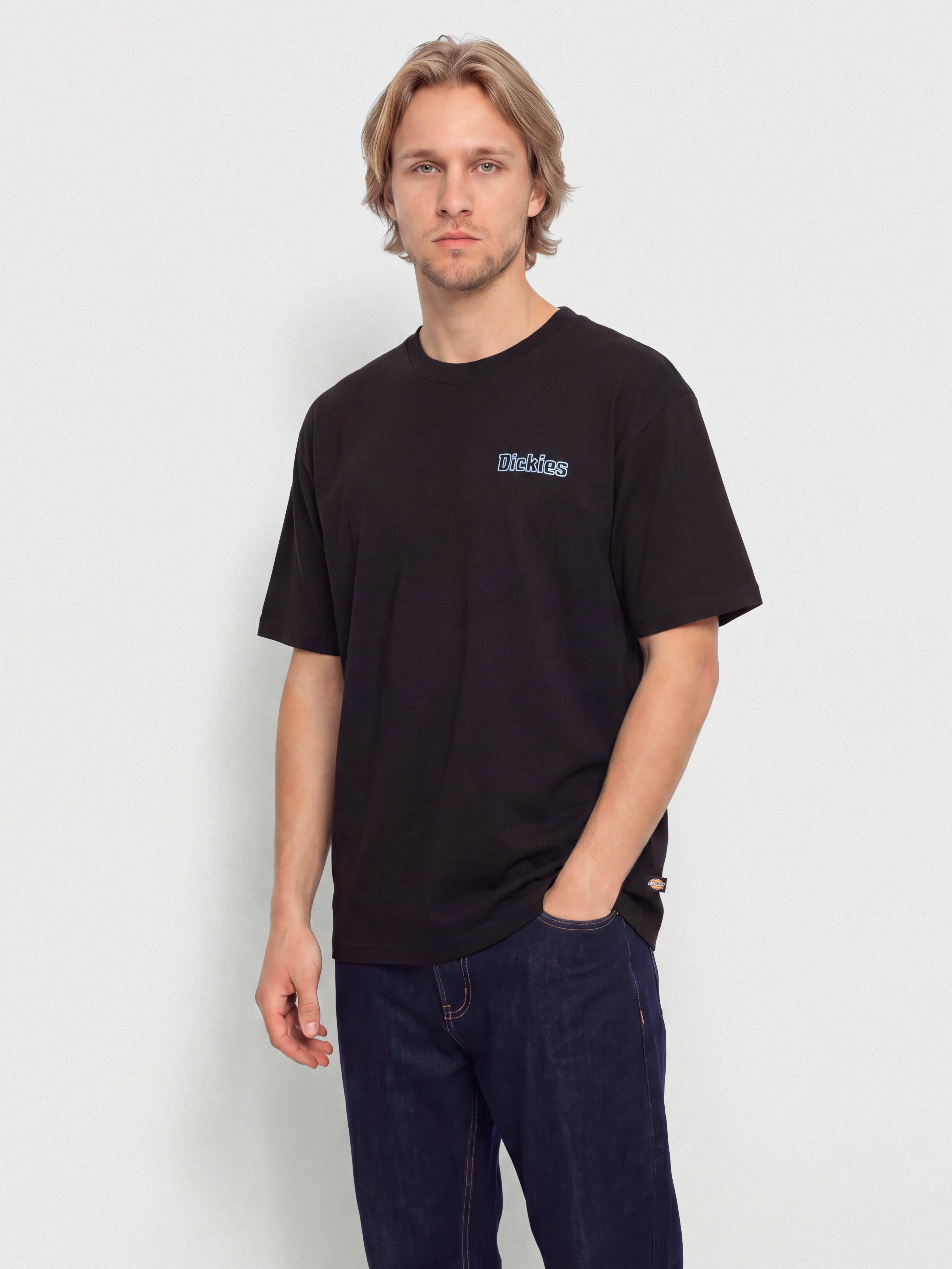 Dickies Fairlawn Póló (black)