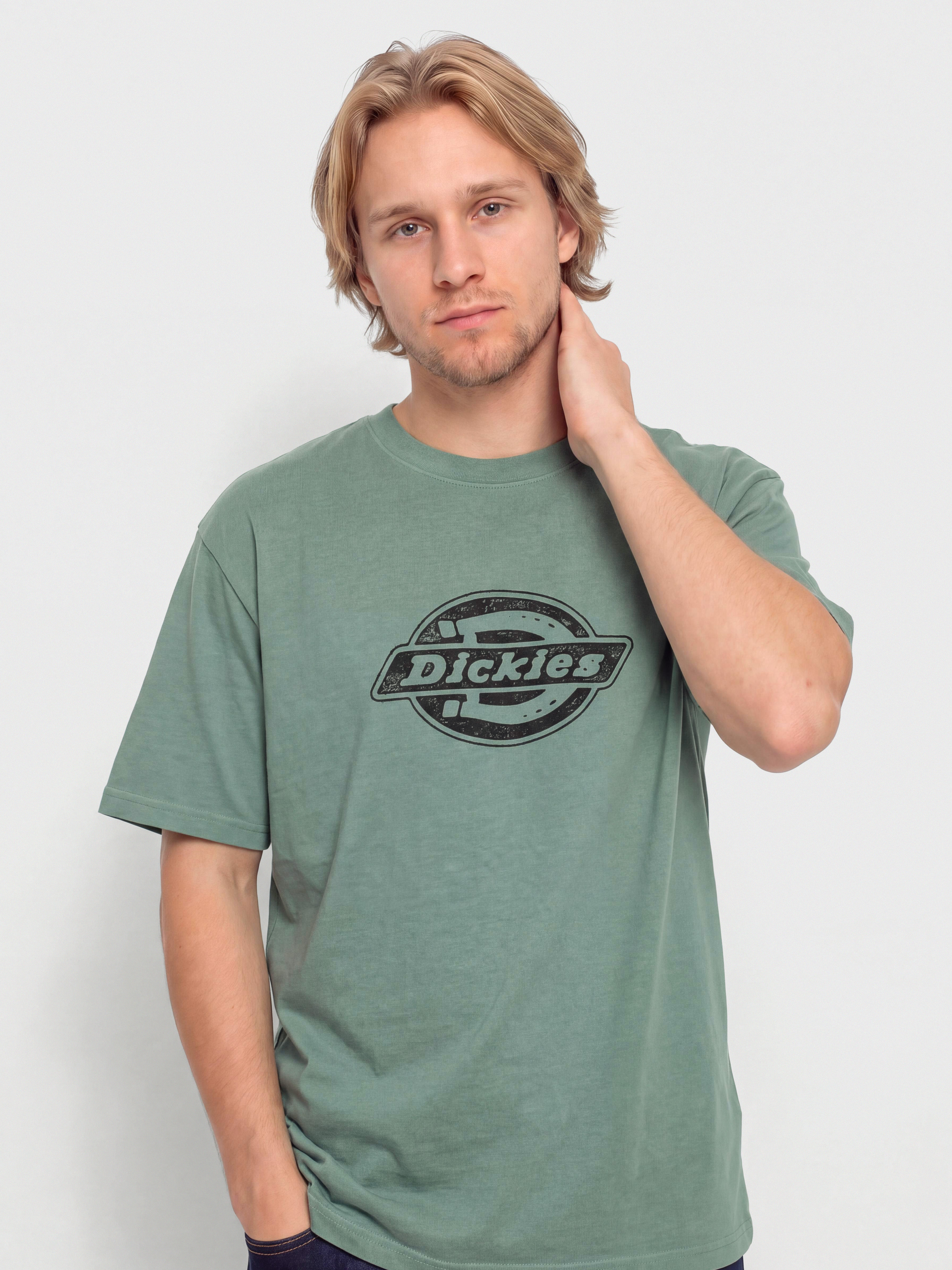 Dickies Plainville Póló (stormy sea)