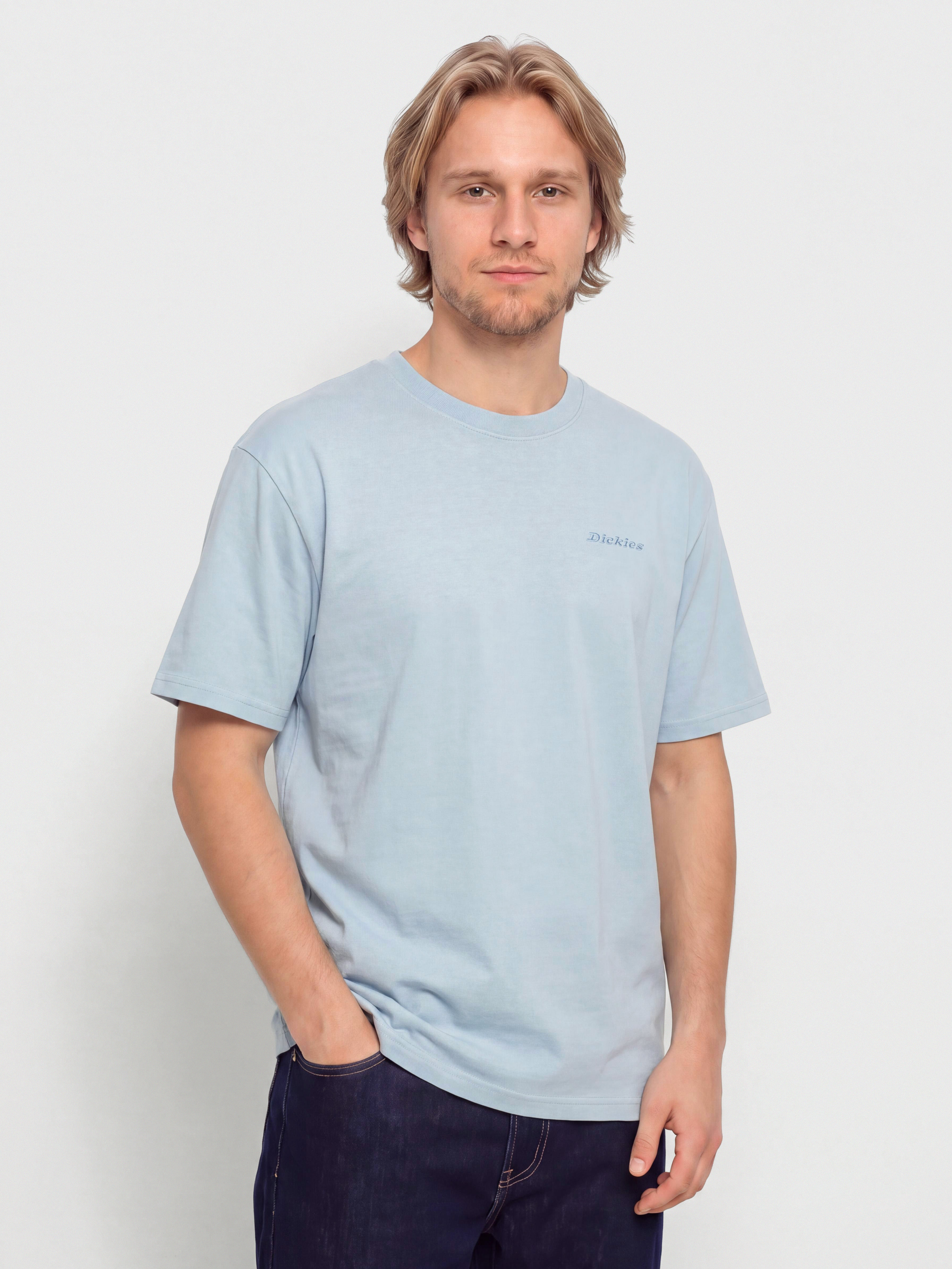 Póló Dickies Plentywood (endless sky)