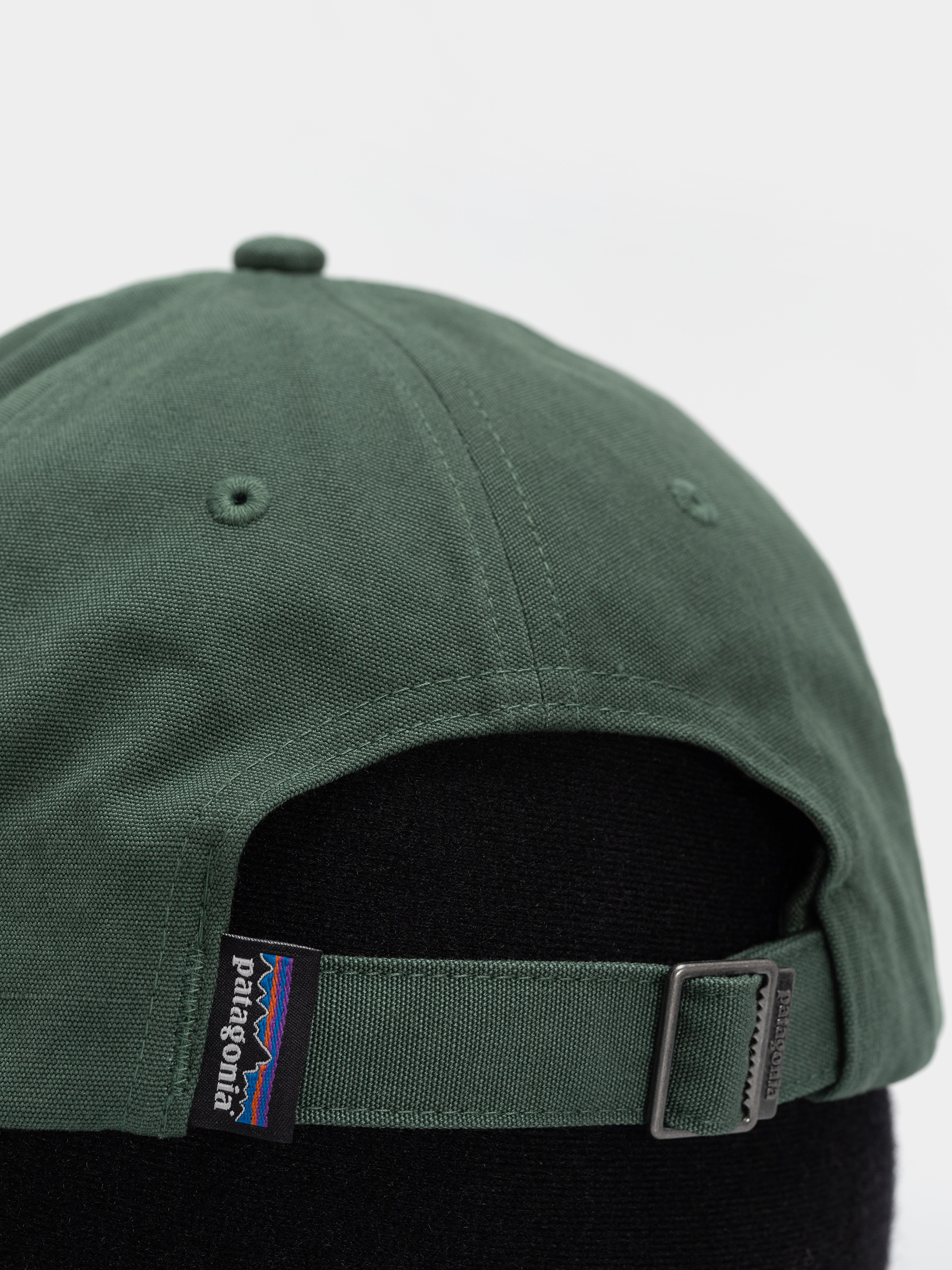 Patagonia P 6 Label Trad Baseball sapka (canopy green)