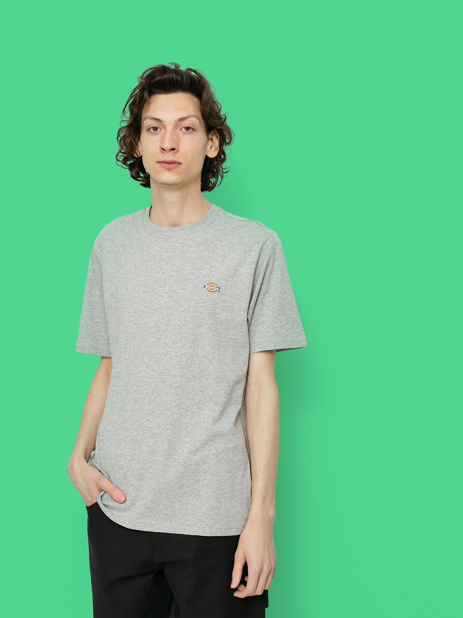 Dickies Mapleton Ujjatlan felső