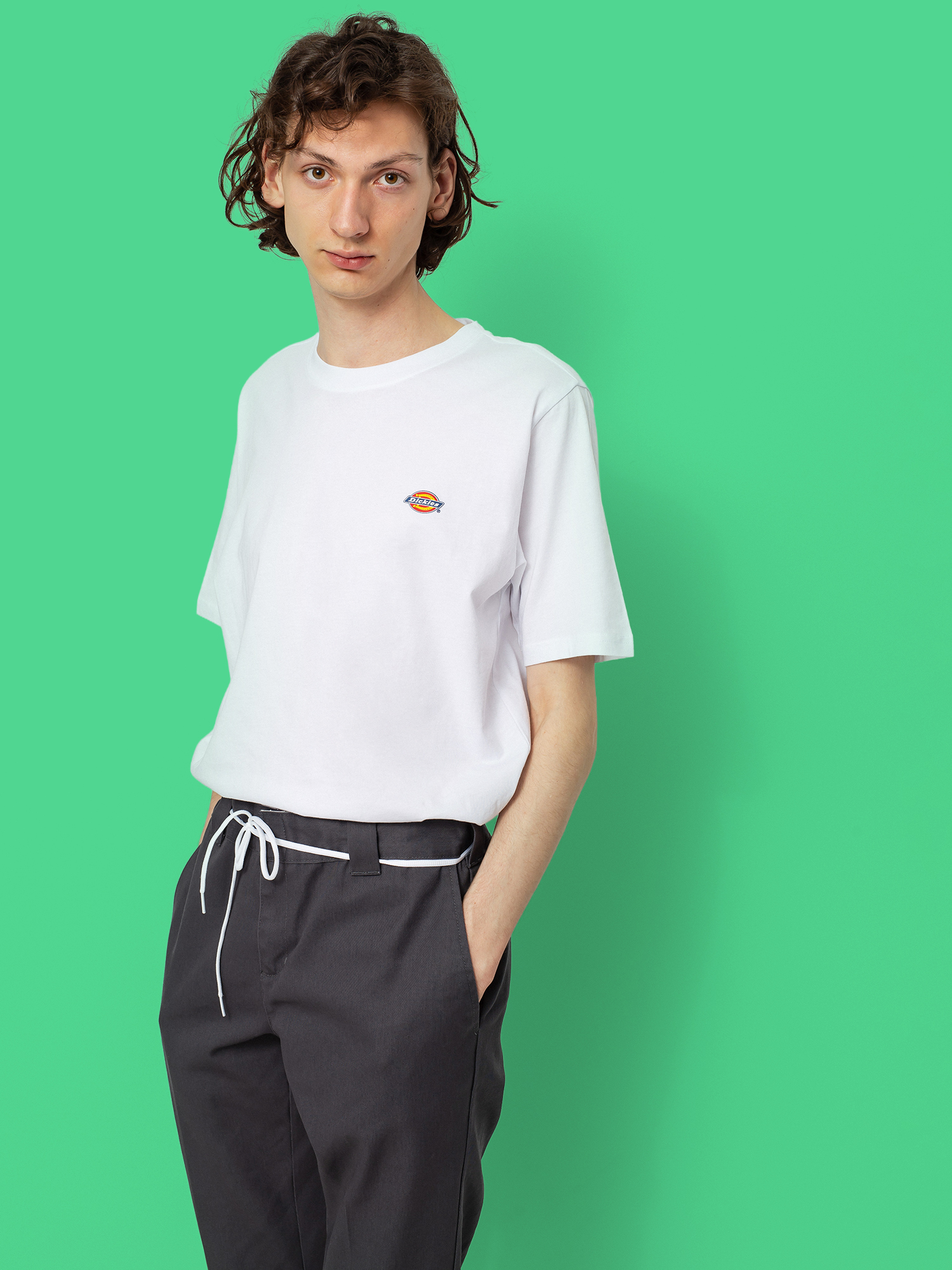 Dickies Mapleton Ujjatlan felső