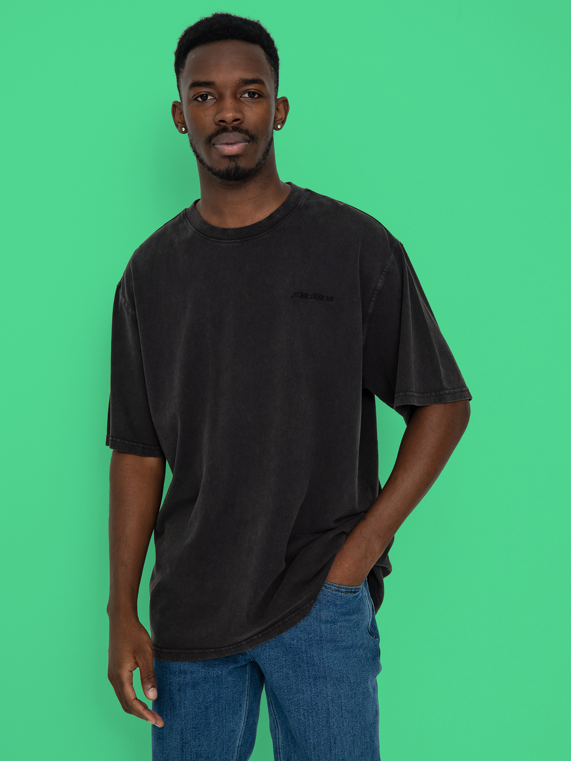 Dickies Plentywood Póló (dble dye/acd bl)