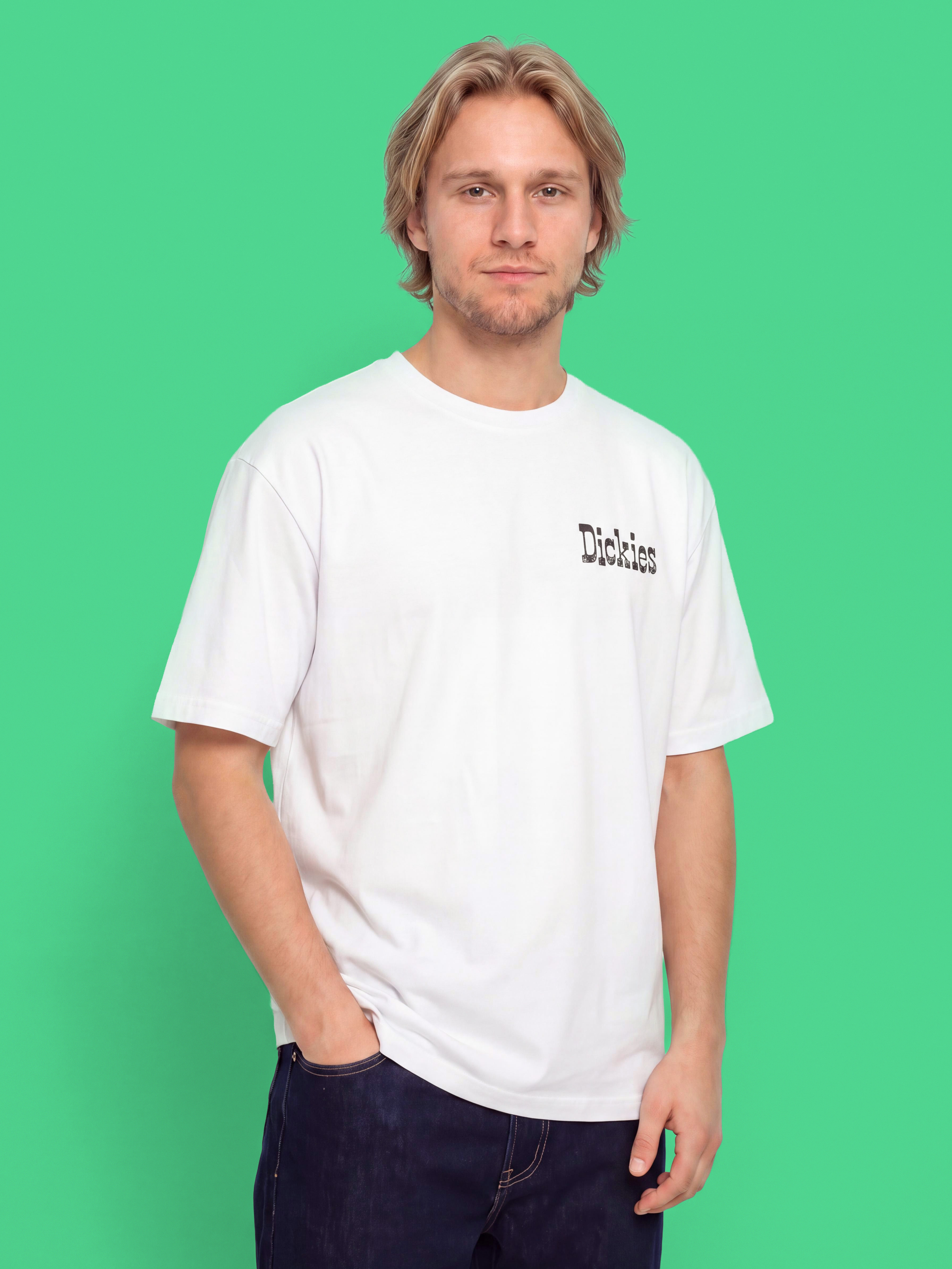 Dickies Polk Pu00f3lu00f3 (white)
