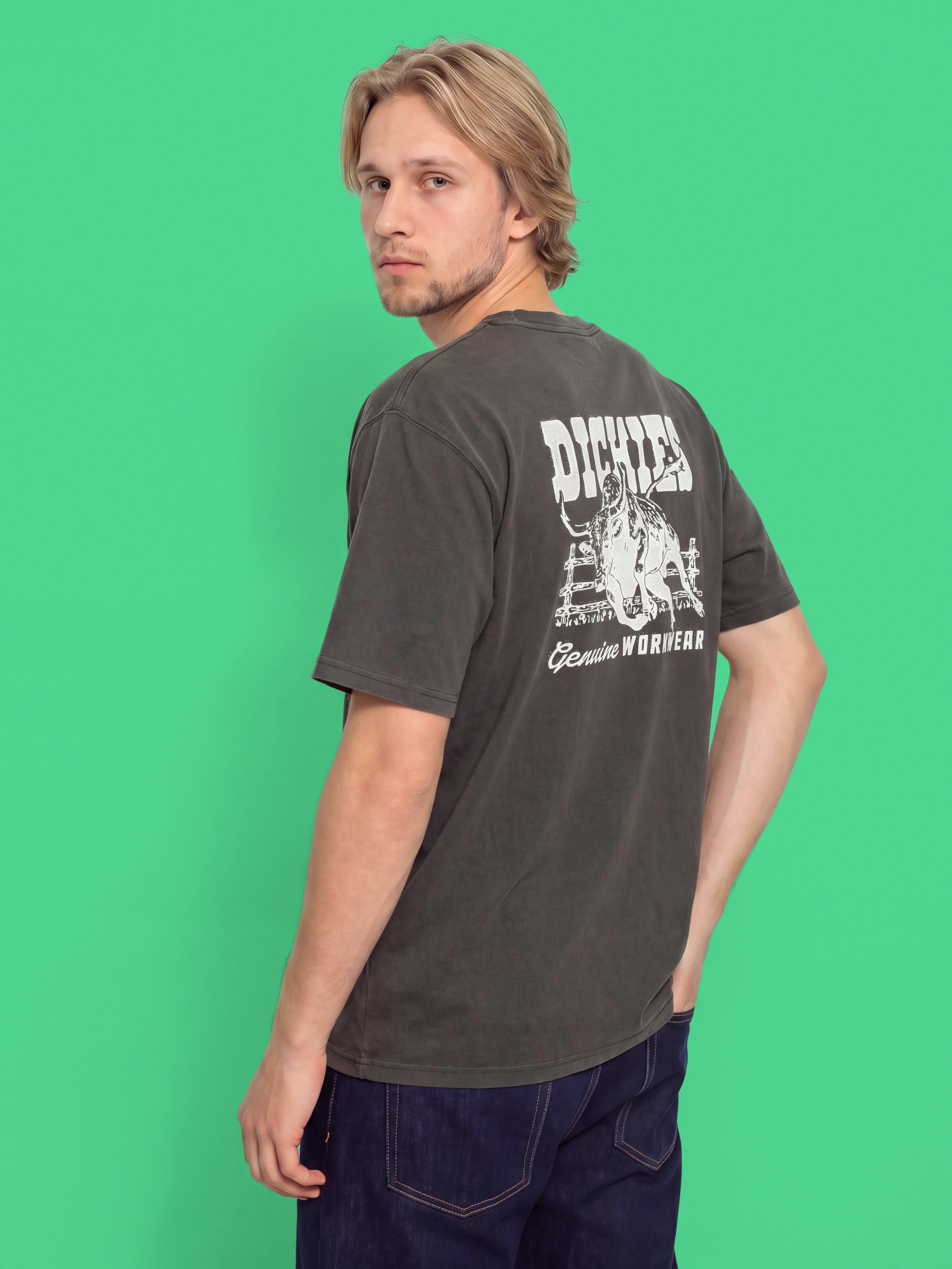 Dickies Buchtell Póló (black)