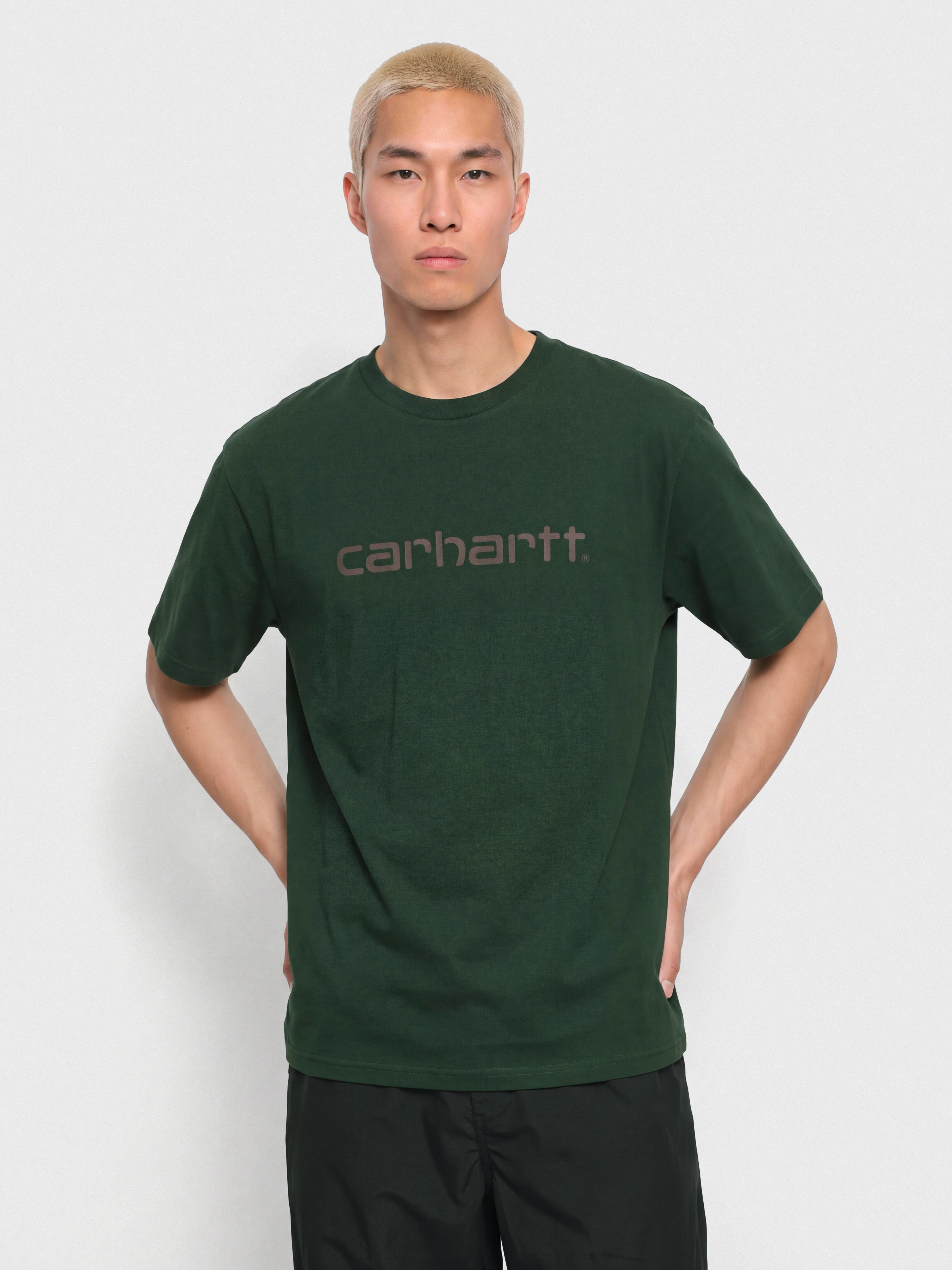 Carhartt WIP Script Póló (dark scarab/palisander)
