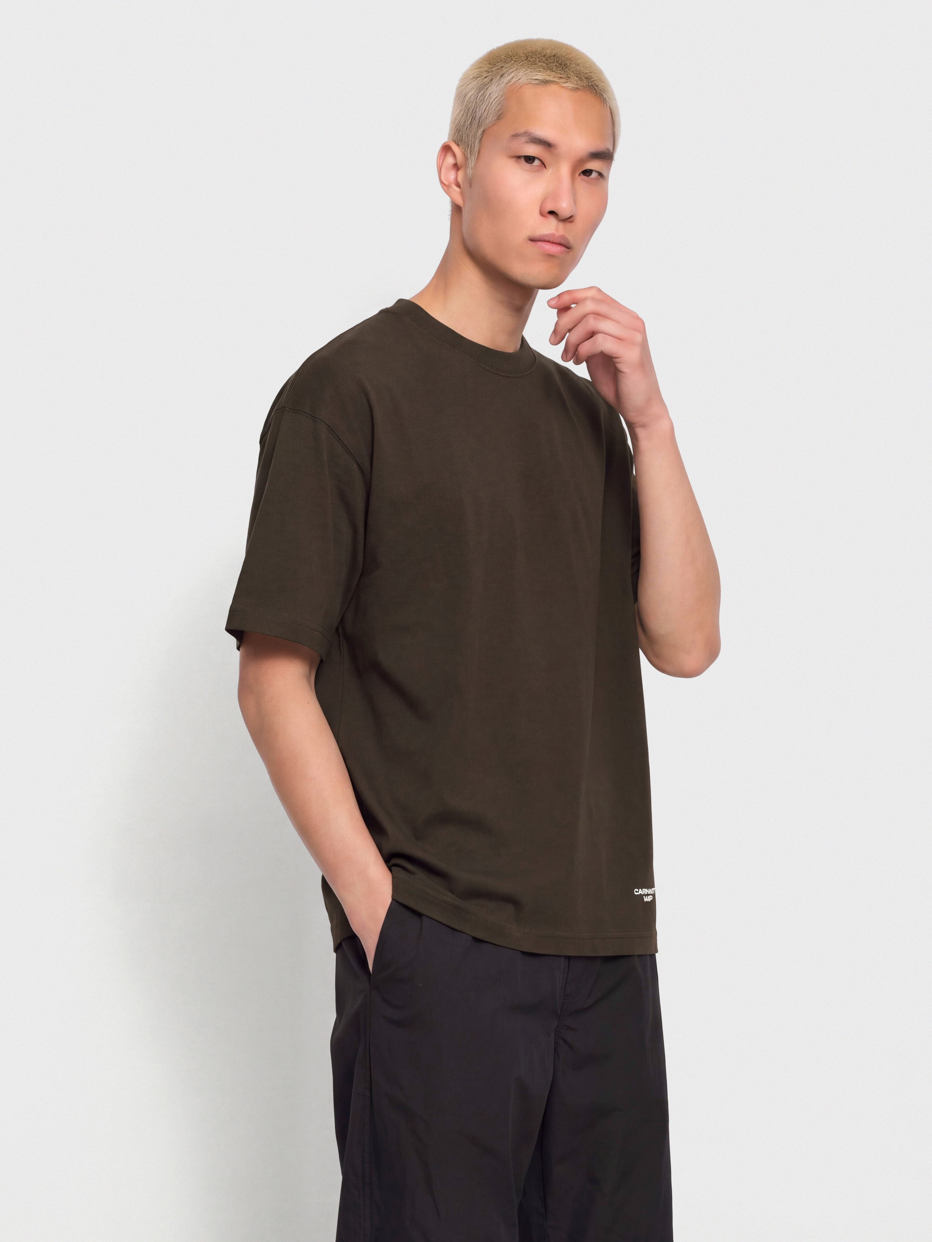 Carhartt WIP Chapter Script Póló (tobacco/white)