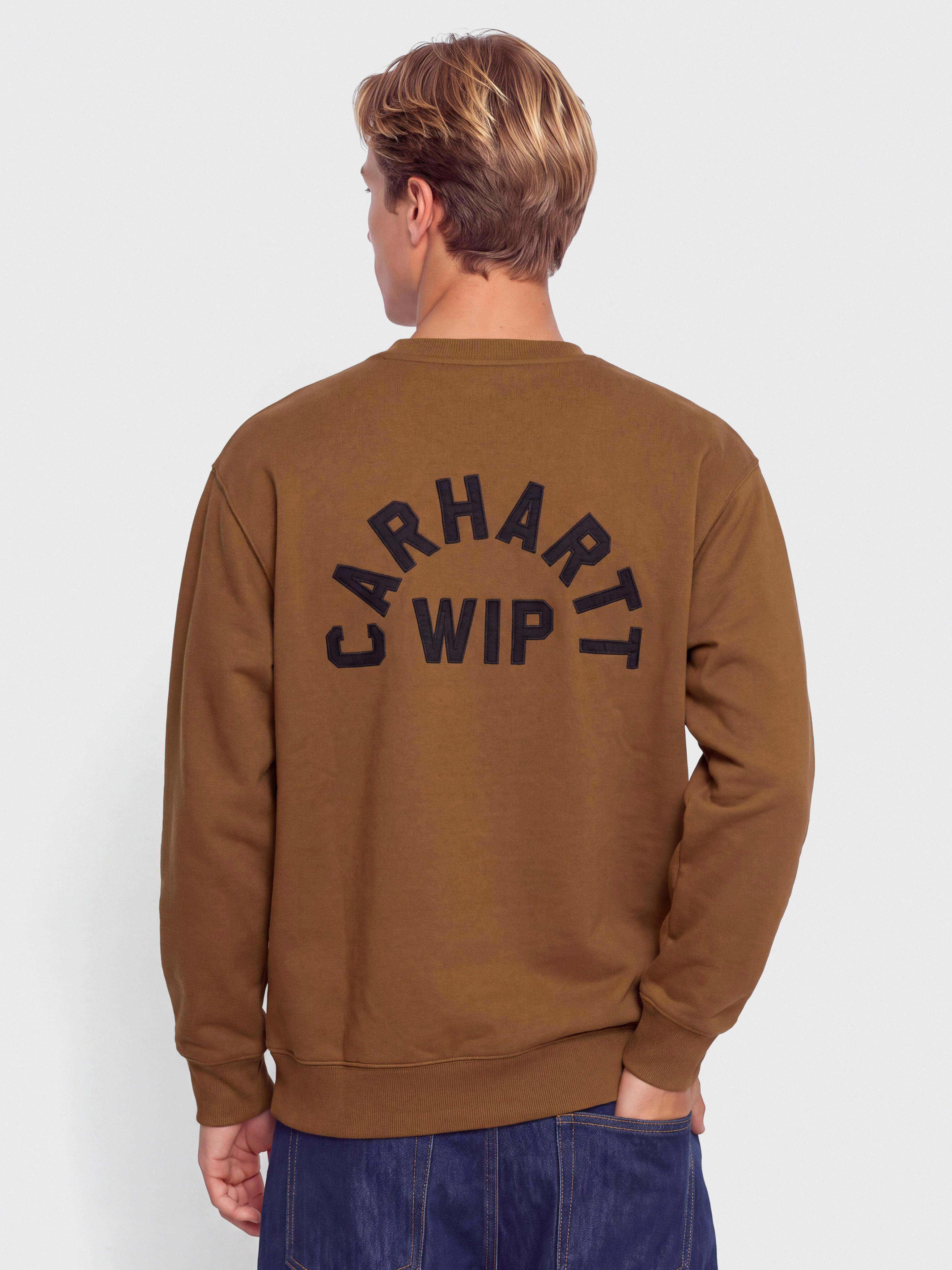 Pulóver Carhartt WIP Arch Script (wip h brown/black/stone washed)