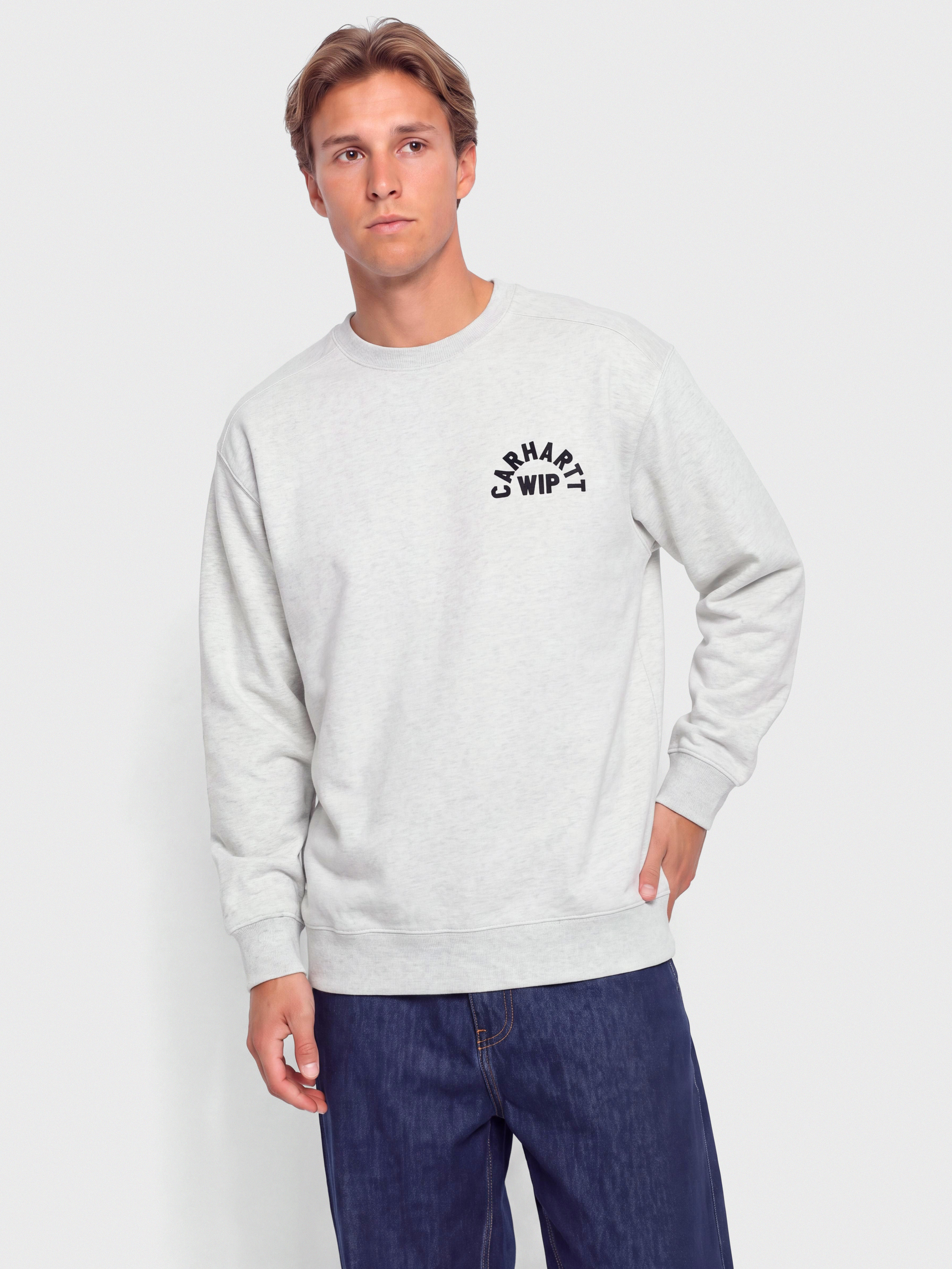 Pulu00f3ver Carhartt WIP Arch Script (ash heather/dark navy/stone washed)