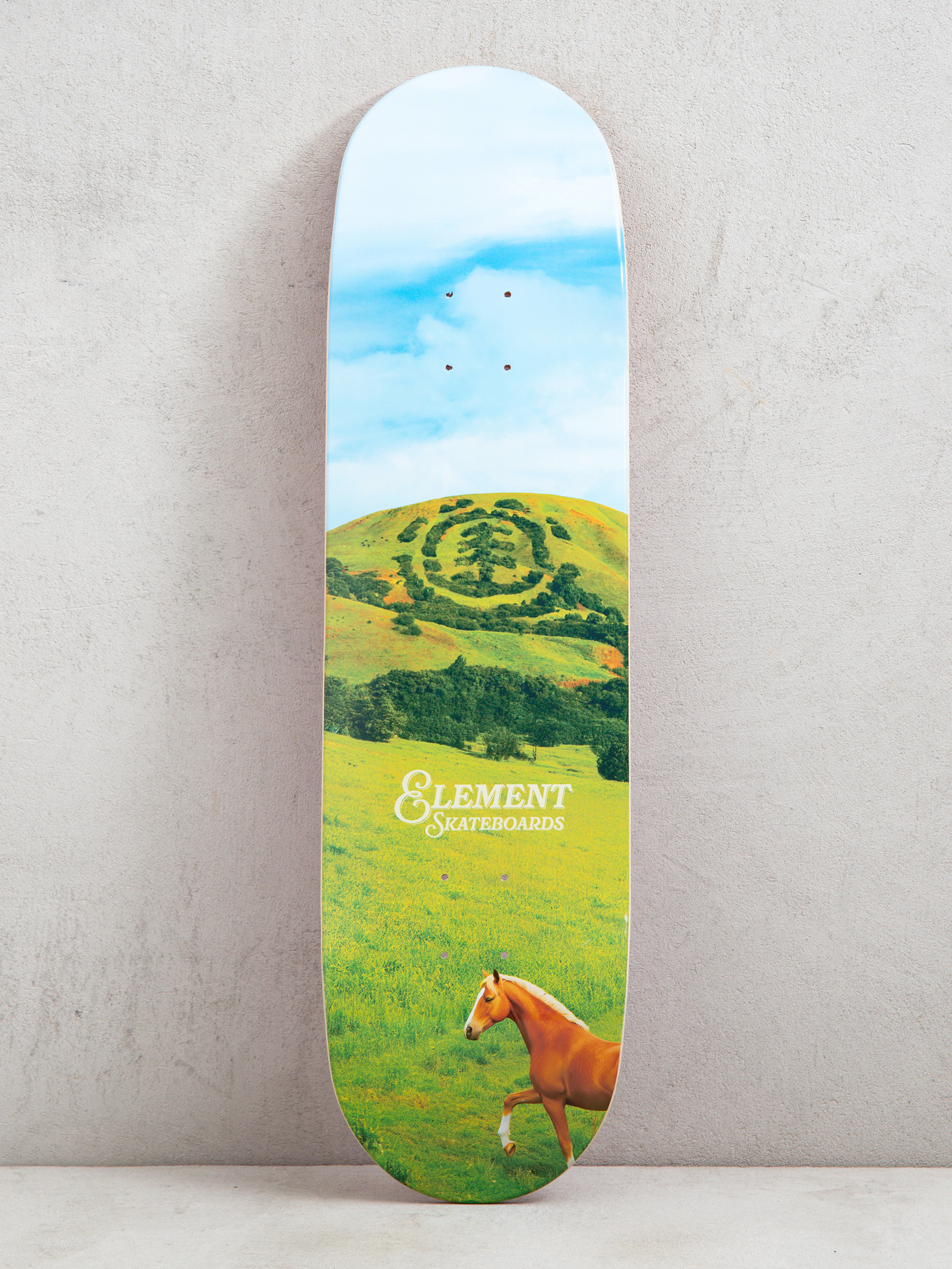 Element Roam Free Gördeszka lap