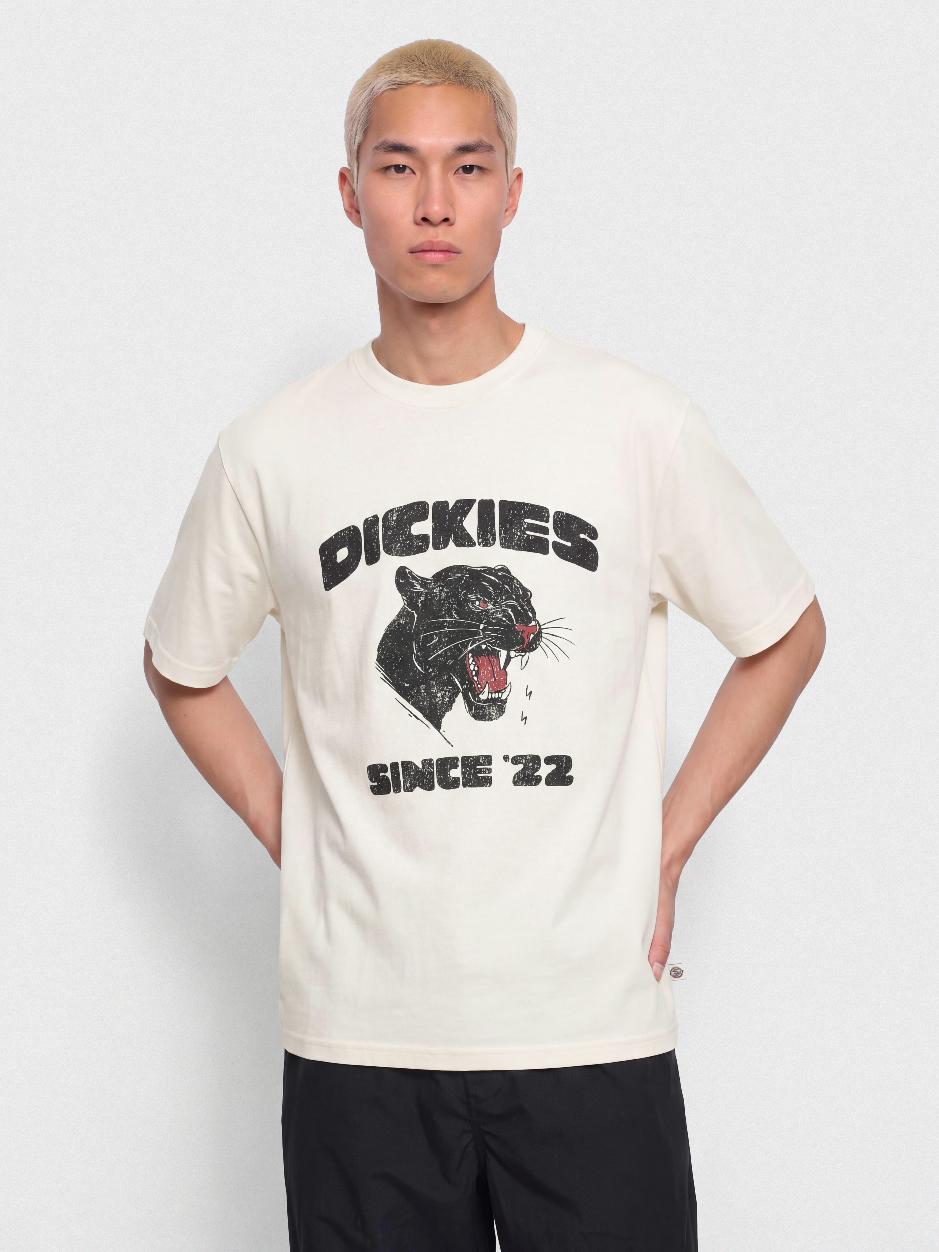 Póló Dickies Mcdermitt